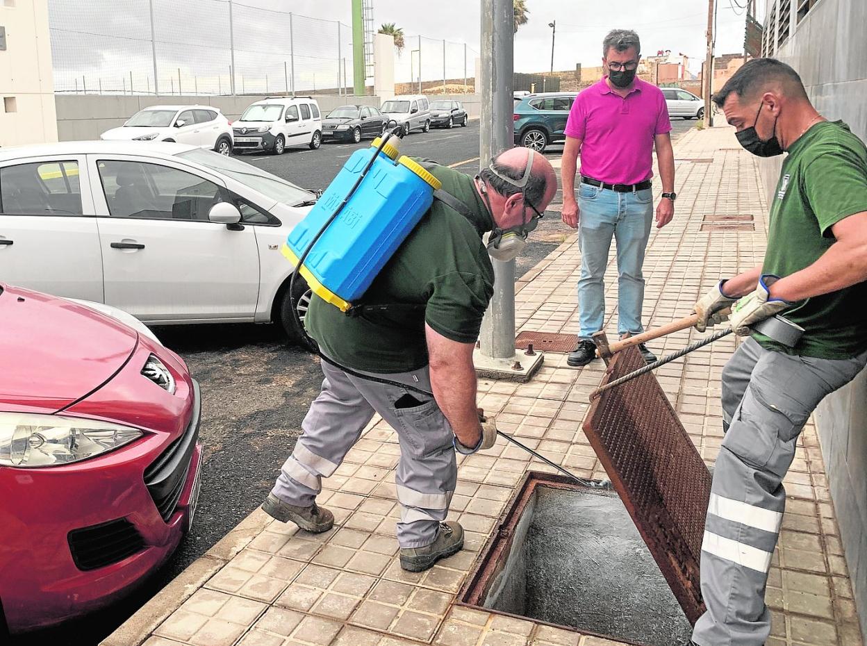 Tratamiento antiplagas para las calles del barrio de Costa Ayala