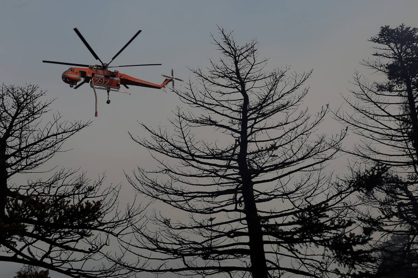 Fotos: Grecia sigue luchando contra el fuego