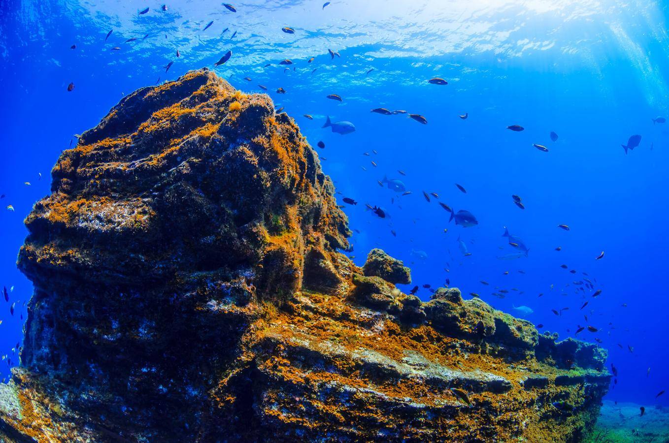 El Bajón (El Hierro)