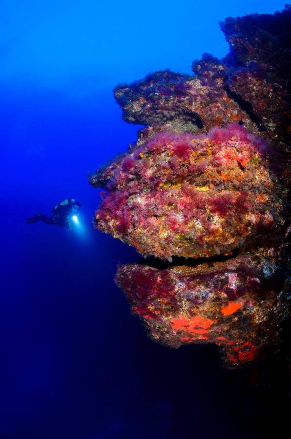 Punta de La Restinga (El Hierro)