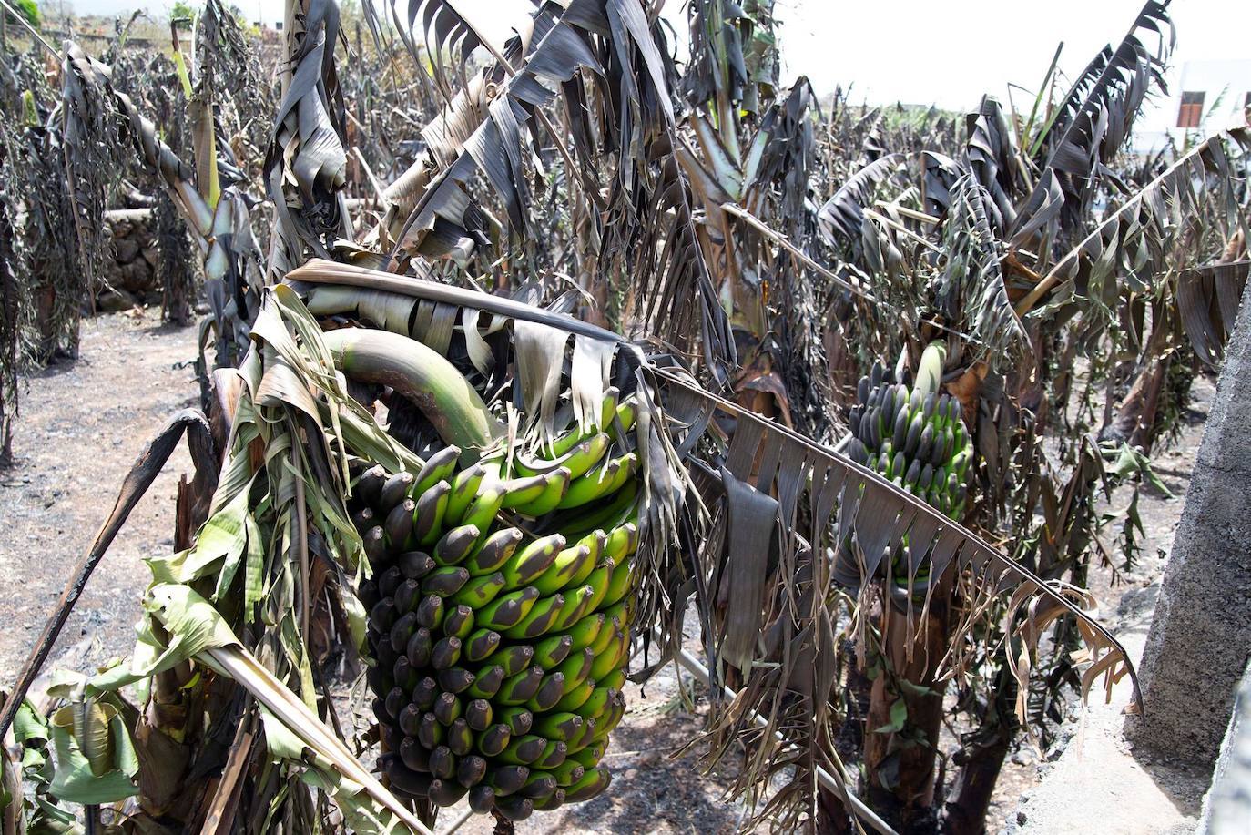 Fotos: Las imágenes más destacadas de la semana