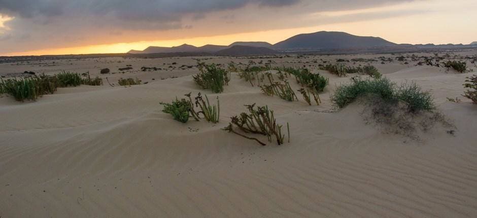 Parque Natural Dunas de Corralejo (Fuerteventura)