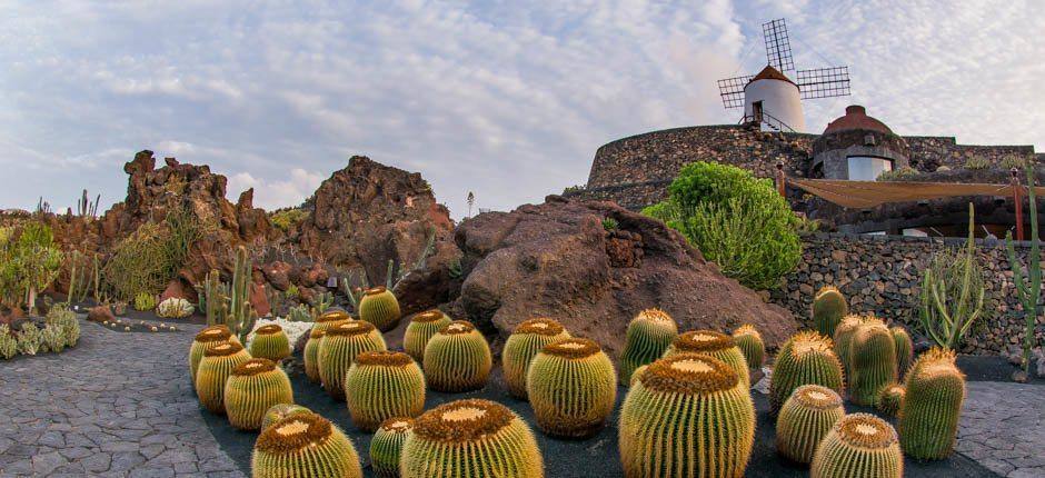 Jardín de Cáctus (Lanzarote)