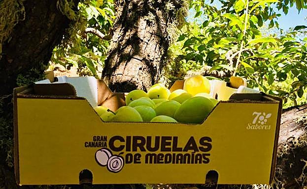 Una caja de la marca que se vende en grandes superficies junto a un ciruelo. 