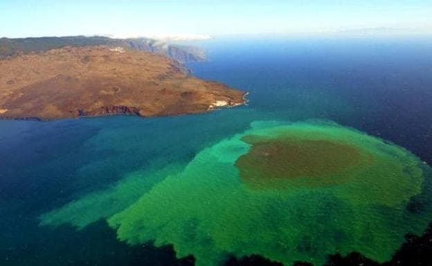 Las bacterias marinas del volcán Tagoro, con potencial para uso farmacéutico