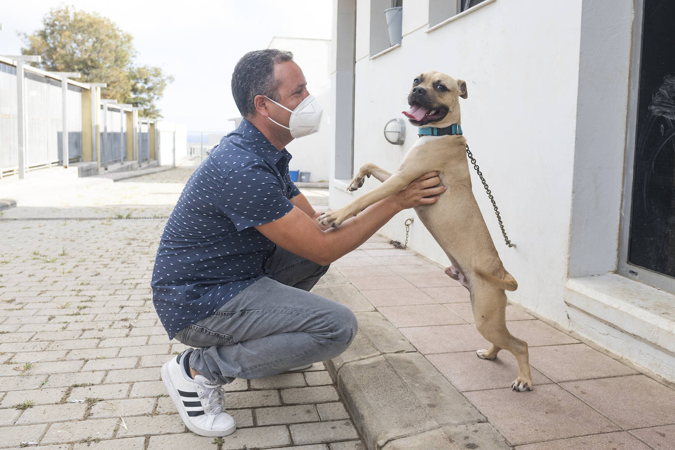 Fotos: Un día en el albergue insular de animales de Gran Canaria