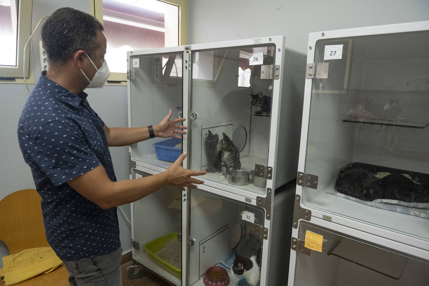 Fotos: Un día en el albergue insular de animales de Gran Canaria