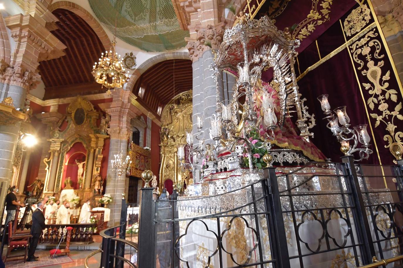 Fotos: Acto institucional del Día del Pino