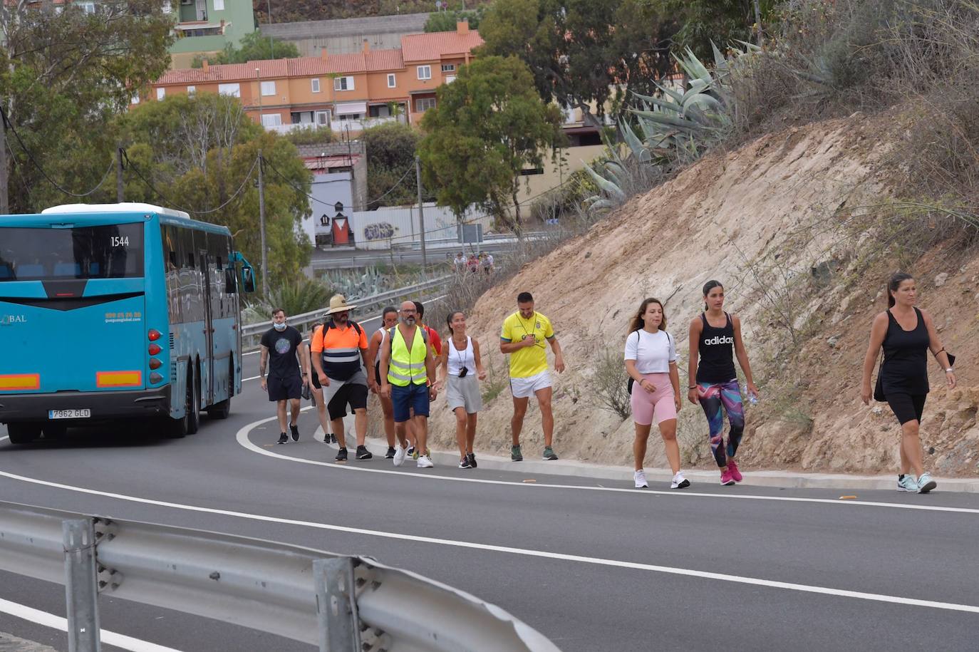 Fotos: Acto institucional del Día del Pino