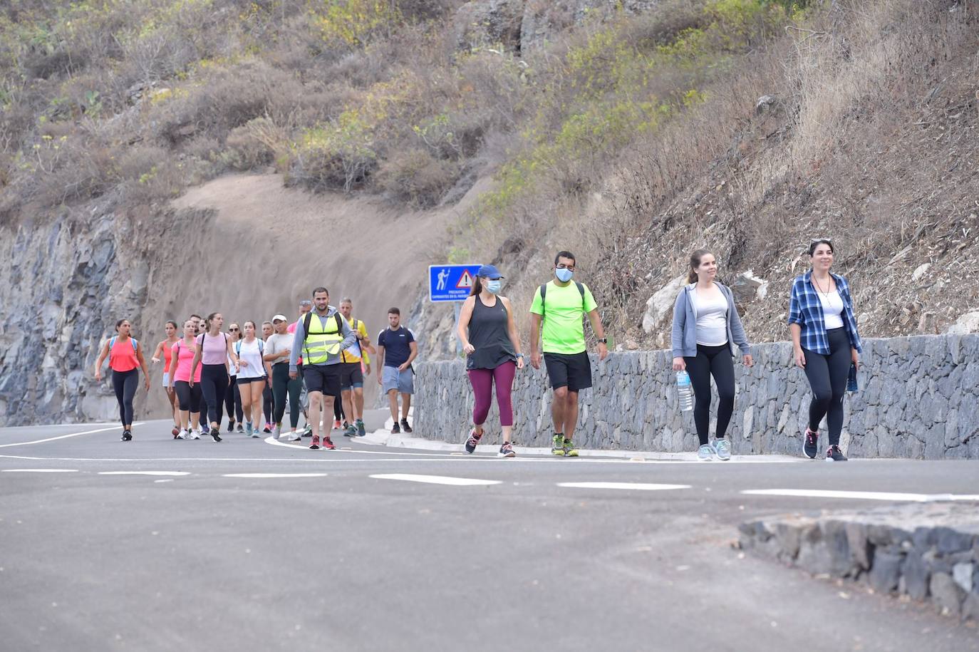 Fotos: Acto institucional del Día del Pino