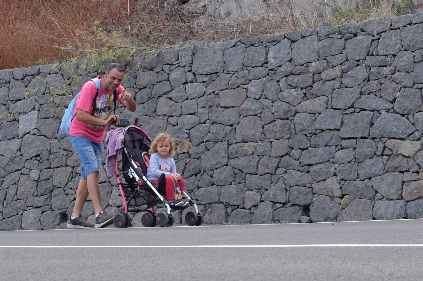 Fotos: Acto institucional del Día del Pino