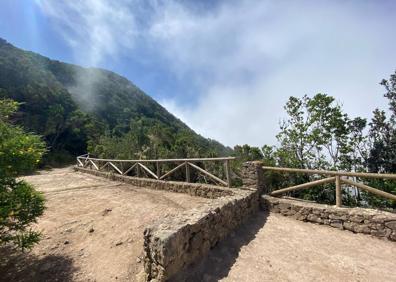Imagen secundaria 1 - Un paseo por un &#039;bosque encantado&#039;