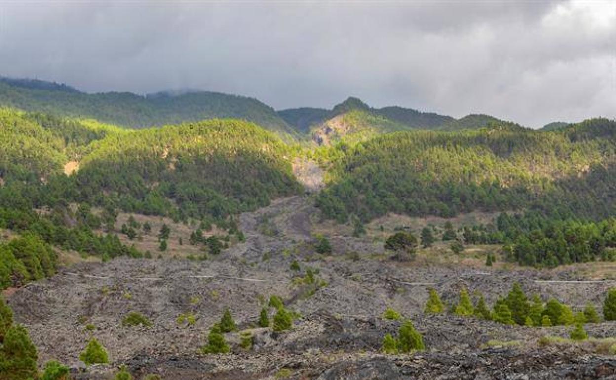 Crece la intensidad de los temblores, el terreno se deforma 15 centímetros