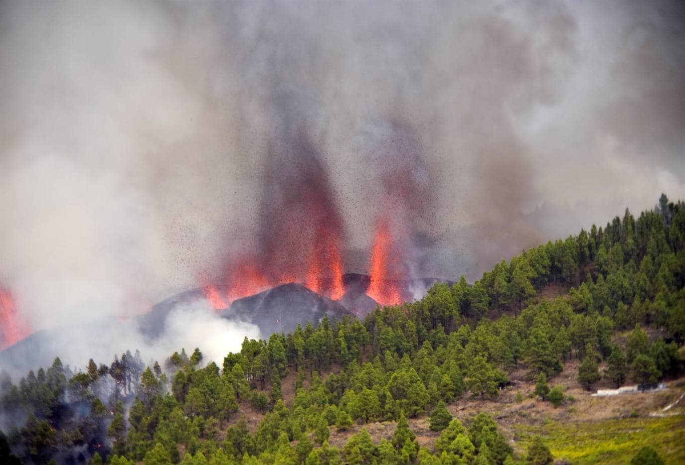 Fotos: Comienza una erupción volcánica en la Cumbre Vieja de La Palma