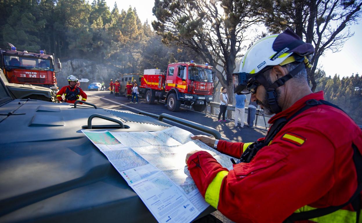 La UME activada en zonas de Valleseco afectadas por el incendio en 2019. 