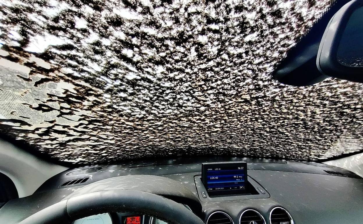 Imagen de la ceniza en una luna de un coche. 