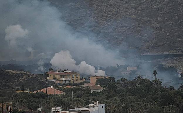 Planas anuncia medidas para agricultura, pesca y ganadería por el volcán