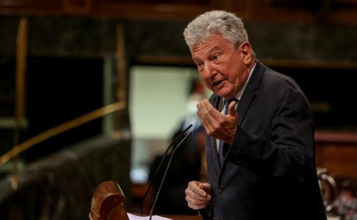 NC logra apoyos en el Congreso para «salvar» el plátano de Canarias