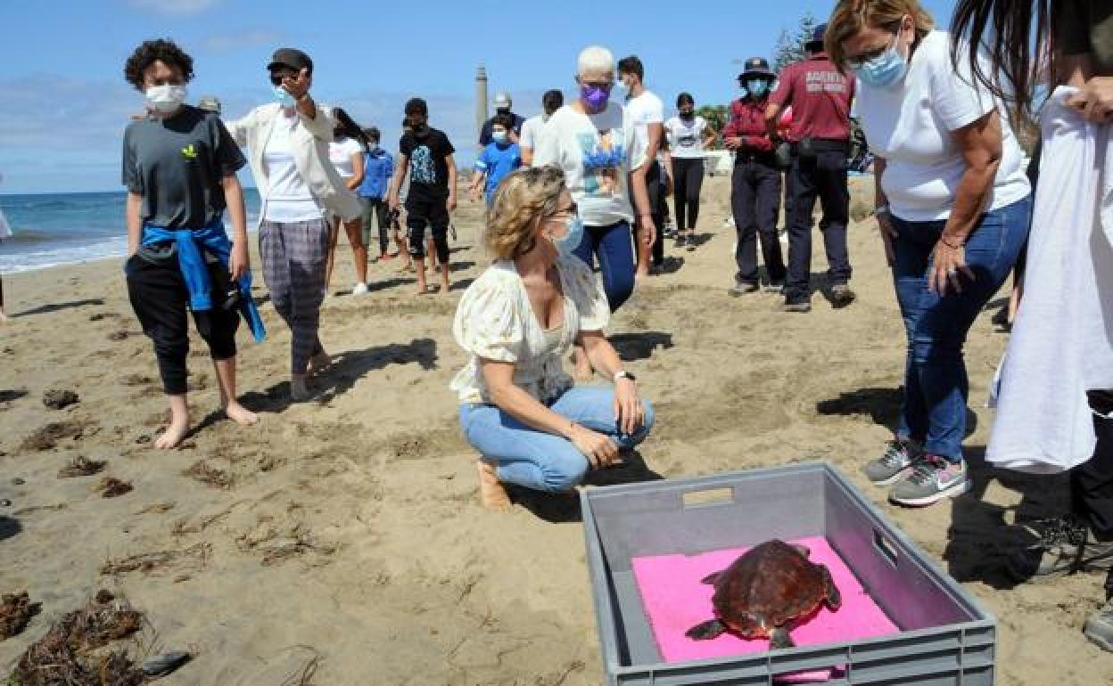 Foto de archivo de una suelta de tortuga en la que participaron la edil Quintana (de pie, de la derecha) y la alcaldesa, Conchi Narváez. 