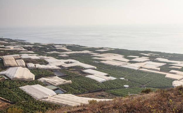 Las desaladoras para dar riego en La Palma entrarán en funcionamiento a finales de la próxima semana