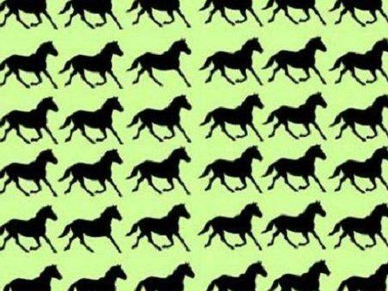 El reto de agudeza visual viral: ¿Cuántos caballos diferentes ves?
