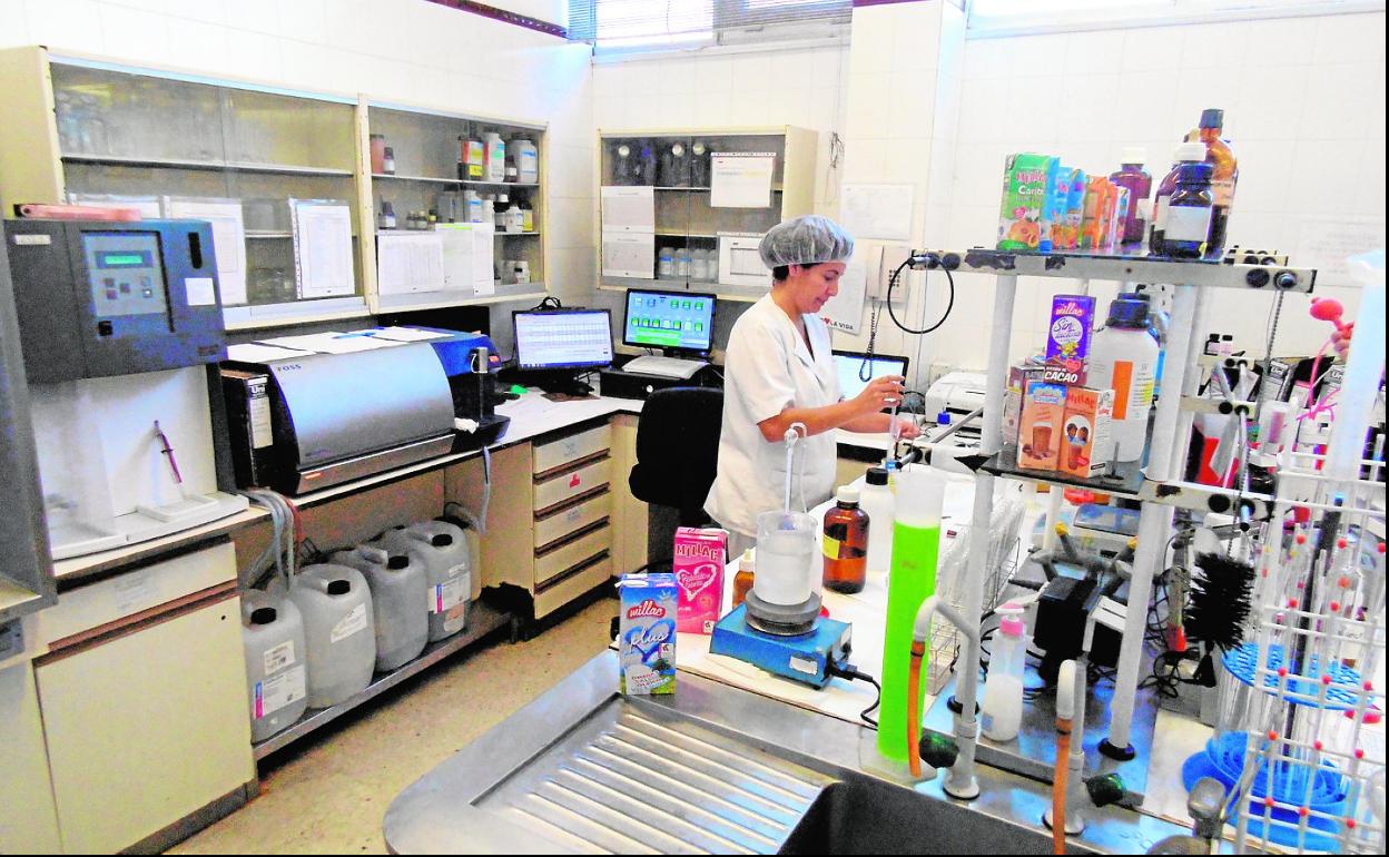 Imagen de una trabajadora del departamento de Calidad de JSP, en una imagen de archivo. De 450 trabajadores solo van a seguir 133. 