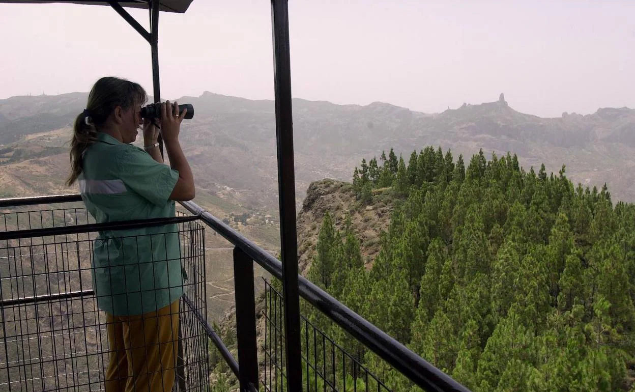 Una vigilante forestal observa las cumbres desde una de las torres de Medio Ambiente. 