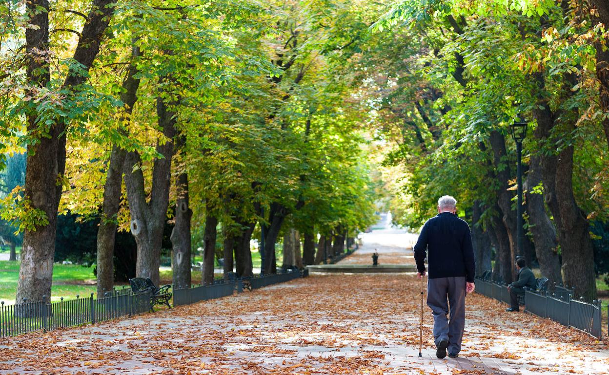 Un jubilado pasea por un parque. 