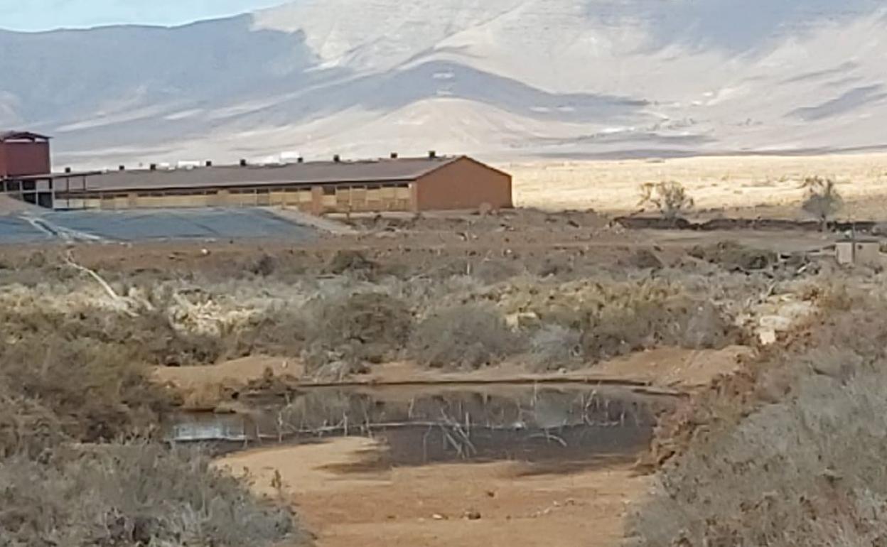 Un grupo de senderistas captó esta imagen en los aledaños de la granja. 