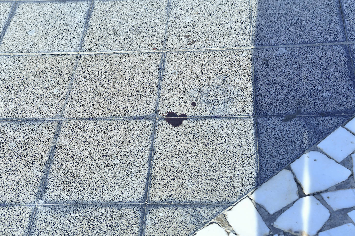 Fotos: Pelea entre jóvenes en el Centro Comercial Plaza en Playa del Inglés