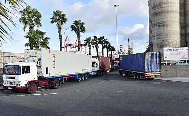 Cola de camiones saliendo de la terminal de Opcsa en el puerto de Las Palmas. Los transportistas piden al Puerto que actúe. 