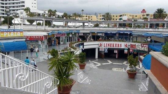 El PP-AV pide implicación al grupo de gobierno para frenar los altercados