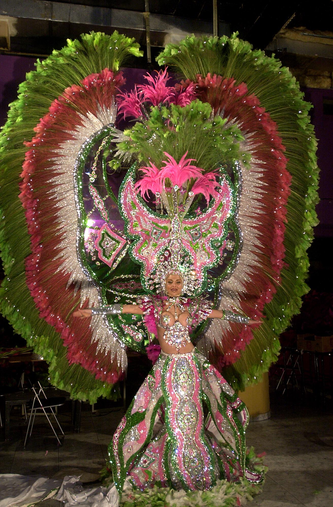 Fotos: Isabel Torres: De candidata al carnaval al éxito de &#039;Veneno&#039;