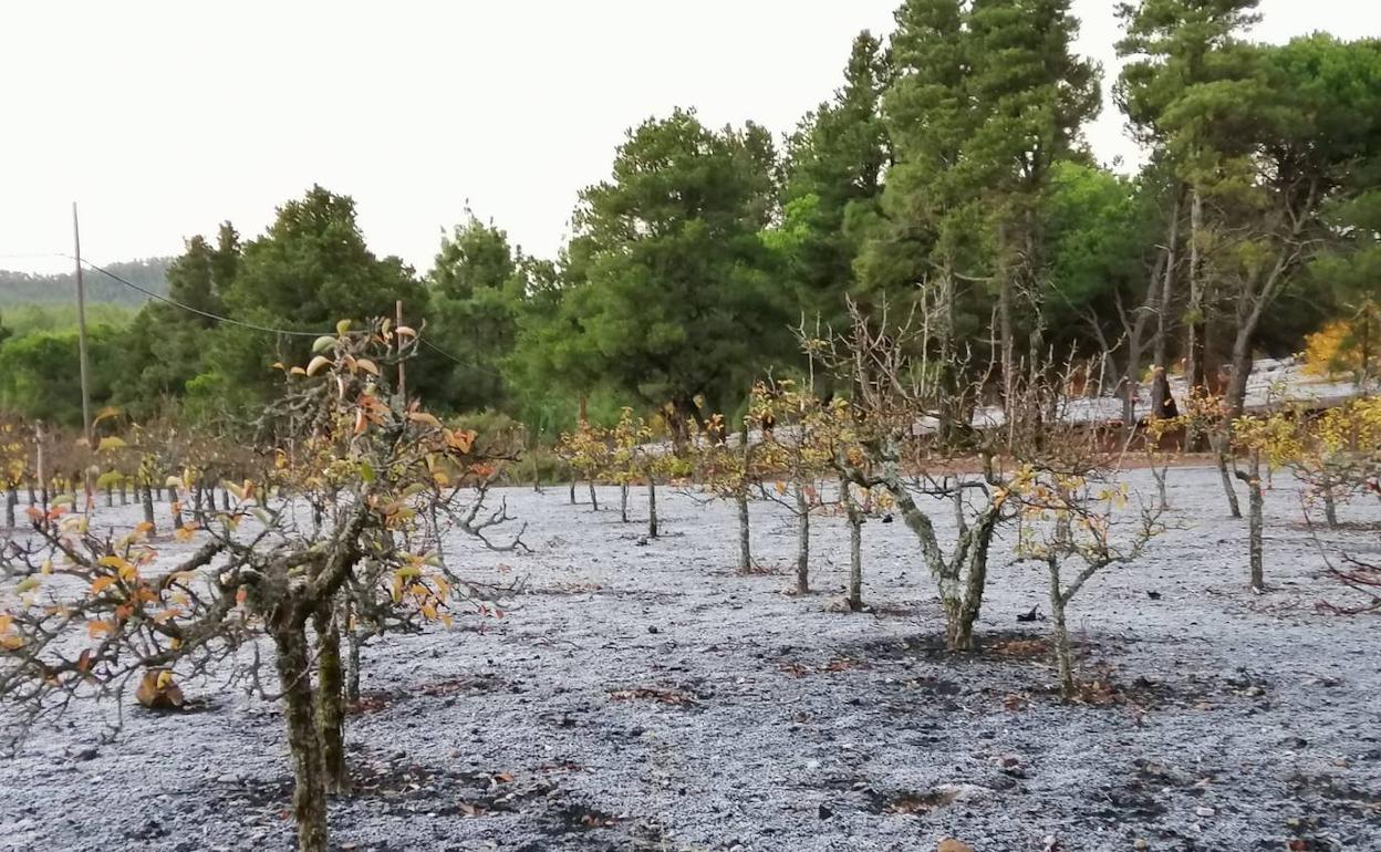 La cumbre grancanaria amanece helada