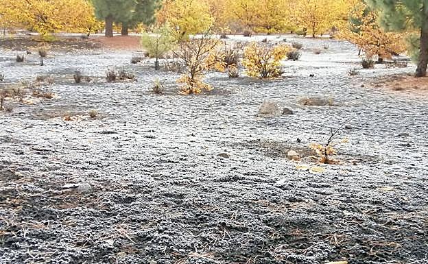 Imagen principal - La cumbre grancanaria amanece helada