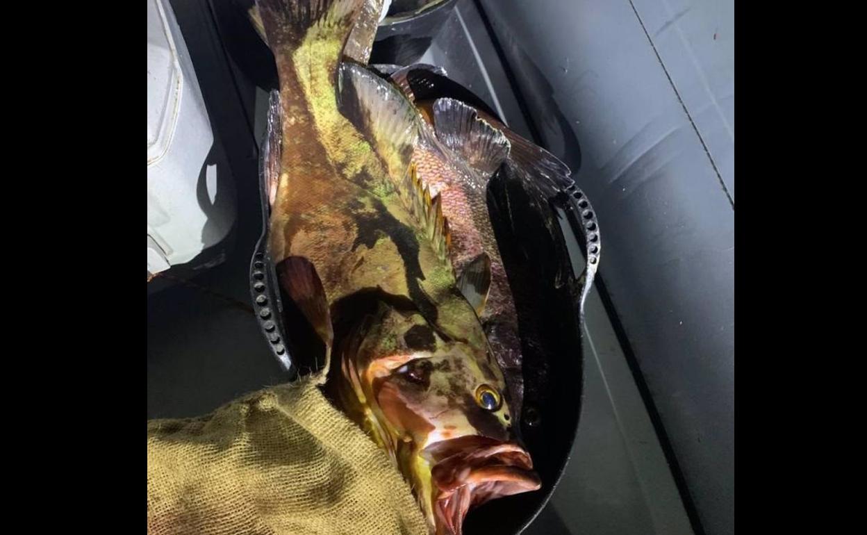 Denuncian a dos pescadores furtivos en El Hierro con 148 kilos de pescado