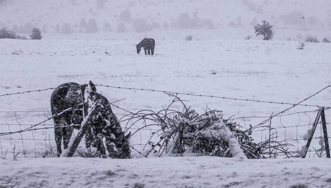 Llegada de una nueva colada al mar el pasado lunes 