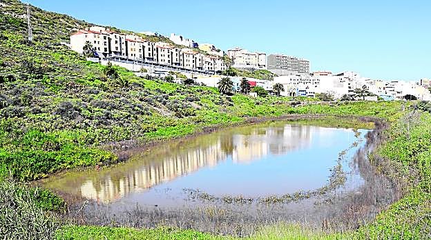 La plataforma Salvar las Charcas de San Lorenzo denuncia el estado de abandono