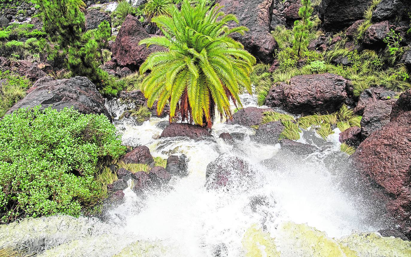 El año 2021 empezó en Gran Canaria con lluvias abundantes que garantizaron en las presas agua de riego para todo el año.