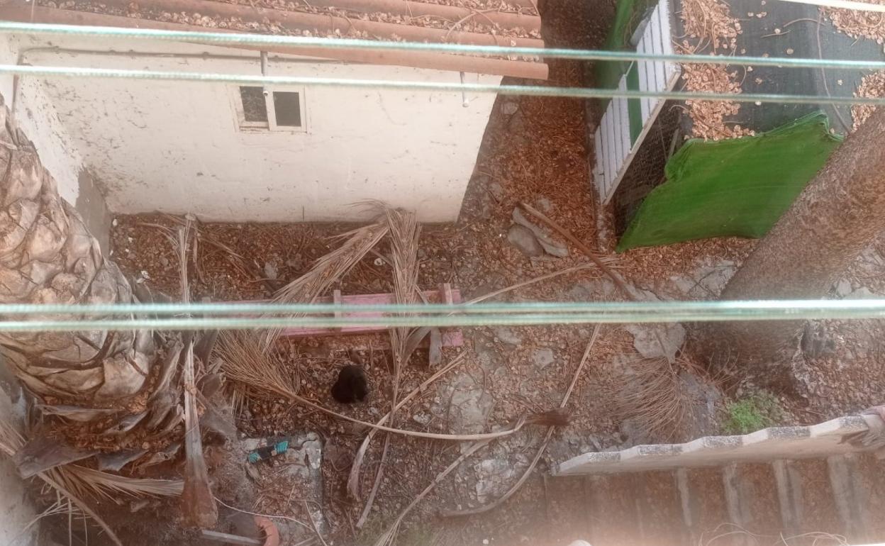 Aspecto que presentaba este miércoles el patio que la vecina afectada reclama se adecente. 