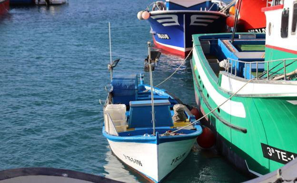 5,9 millones en ayudas para compensar las pérdidas de la pesca artesanal por la pandemia