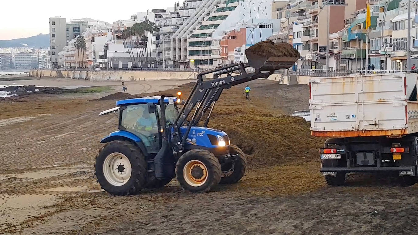 Retirada de las algas. 