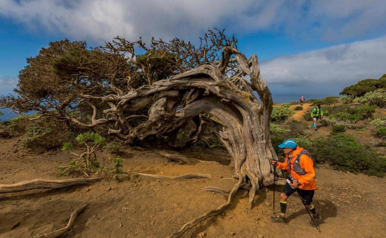 Cancelada la Maratón del Meridiano, en El Hierro, por la covid