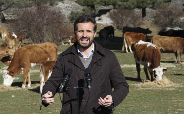 Casado, desde las Navas del Marqués (Ávila). 