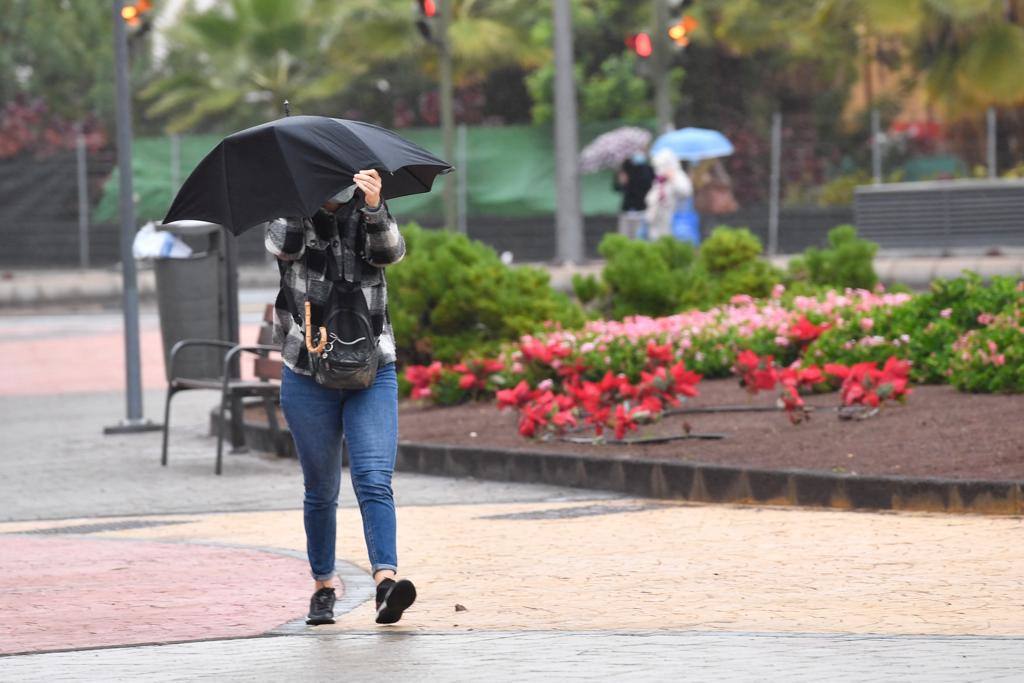 Fotos: Las imágenes más destacas de la semana