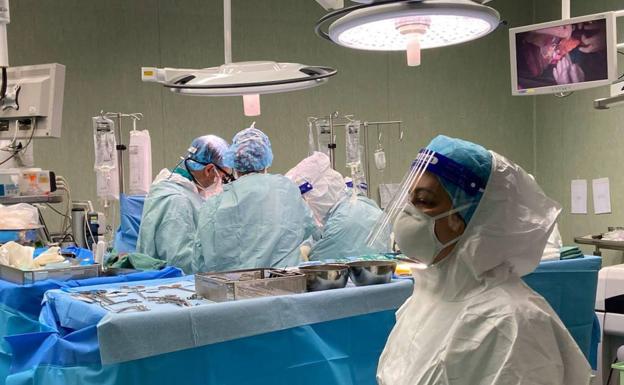 España completa tres décadas como líder en donación de órganos
