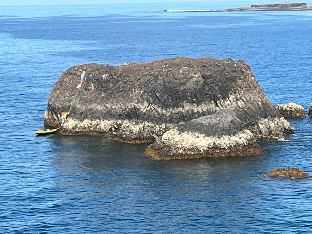 Fotos: El islote Matavinos, nueva casa de los charranes