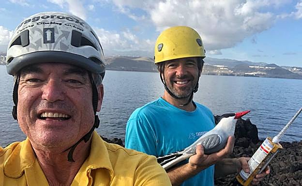 Acondicionan el Islote de Matavinos en El Confital para recuperar a los charranes