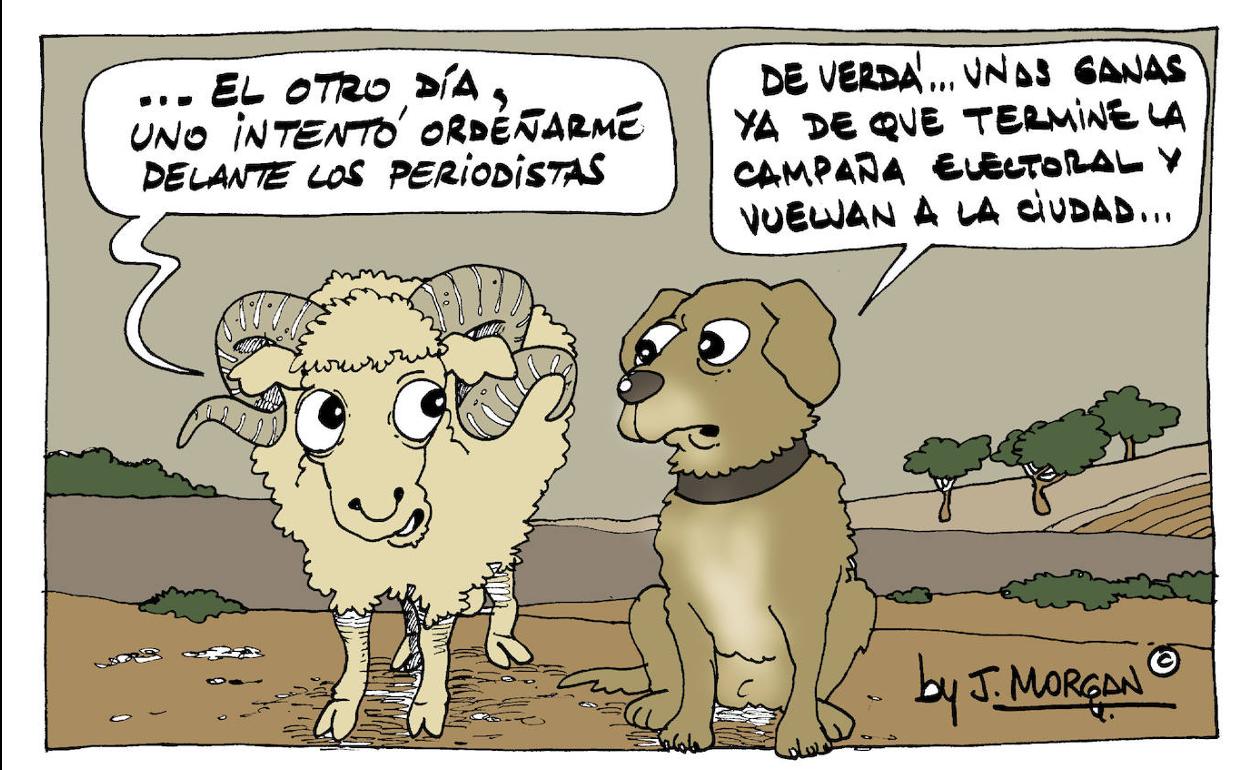 El humor de Morgan de este domingo, 30 de enero de 2022