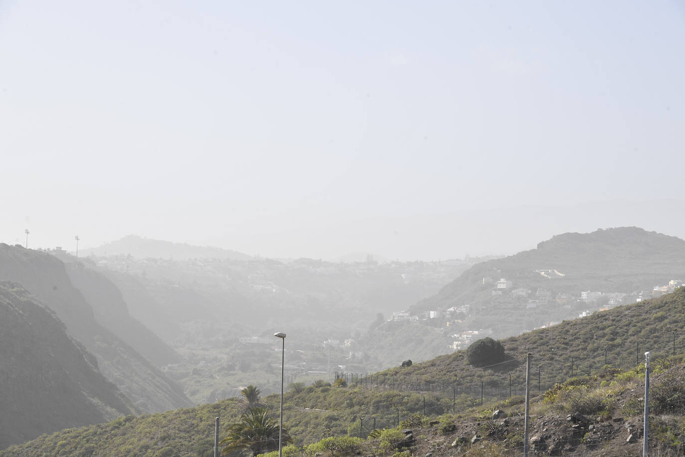 Fotos: Terreguero en Gran Canaria por la calima